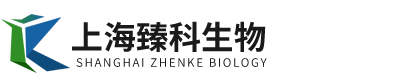  Shanghai Zhenke Biotechnology Co., Ltd
